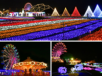 ナイト遊園地まとめ