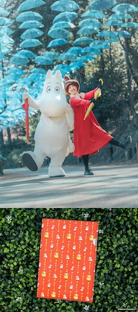 ムーミンバレーパーク