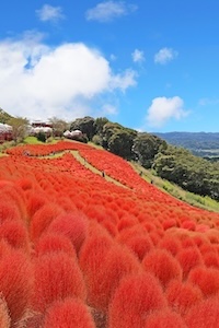 マザー牧場